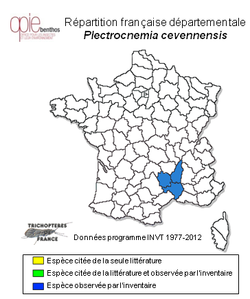 Carte de distribution de Plectrocnemia cevennensis Coppa, 2011
