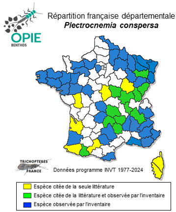 Carte de distribution de Plectrocnemia conspersa (Curtis, 1834)