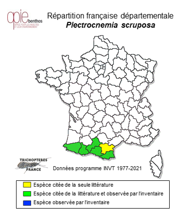 Carte de distribution de Plectrocnemia scruposa MacLachlan, 1880