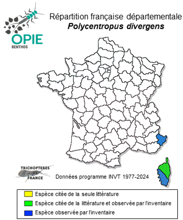 Carte de distribution de Polycentropus divergens Mosely, 1930