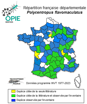 Carte de distribution de Polycentropus flavomaculatus (Pictet ,1834)