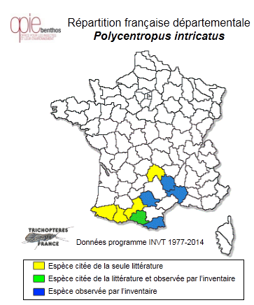 Carte de distribution de Polycentropus intricatus Morton, 1910