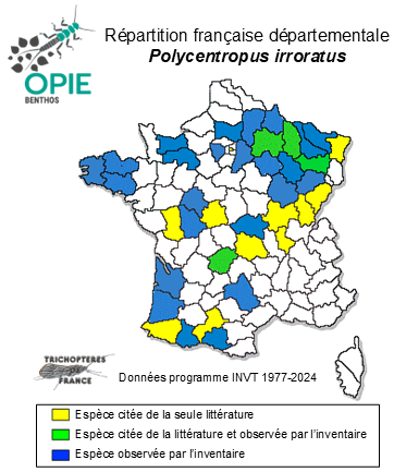 Carte de distribution de Polycentropus irroratus Curtis, 1835