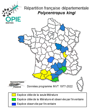Carte de distribution de Polycentropus kingi MacLachlan, 1881