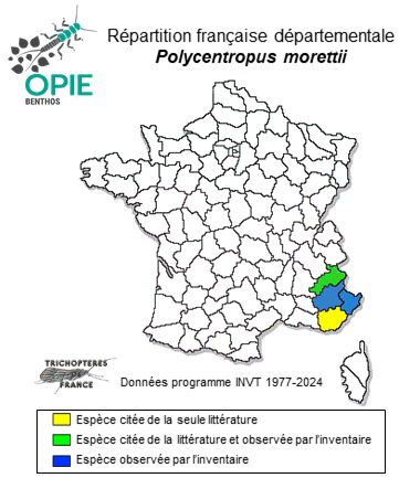Carte de distribution de Polycentropus morettii Malicky, 1977