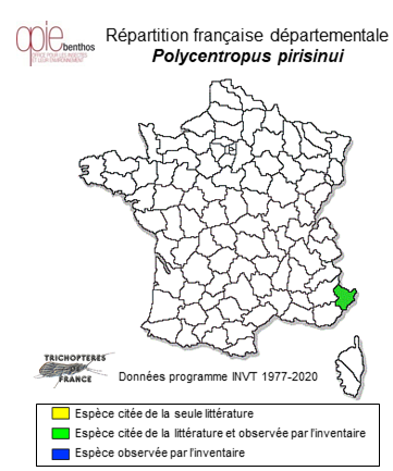 Carte de distribution de Polycentropus pirisinui Malicky, 1981