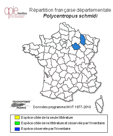 Carte de distribution de Polycentropus schmidi Novak & Botosaneanu, 1965
