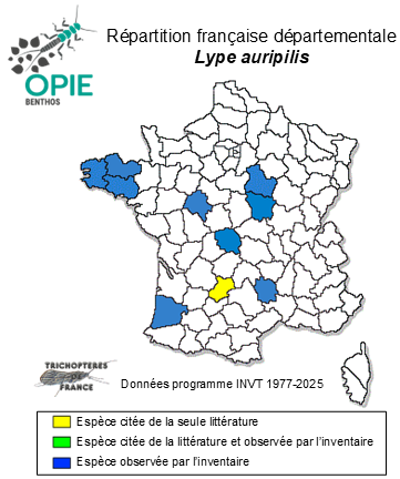 Carte de distribution de Lype auripilis MacLachlan, 1884