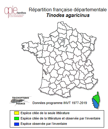 Carte de distribution de Tinodes agaricinus Mosely, 1930