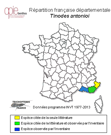 Carte de distribution de Tinodes antonioi Botosaneanu & Taticchi-Vigano, 1974