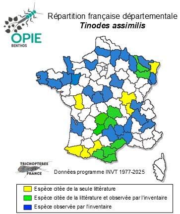 Carte de distribution de Tinodes assimilis MacLachlan, 1865