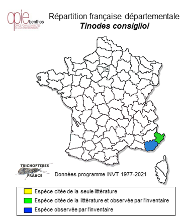 Carte de distribution de Tinodes consiglioi Botosaneanu, 1980