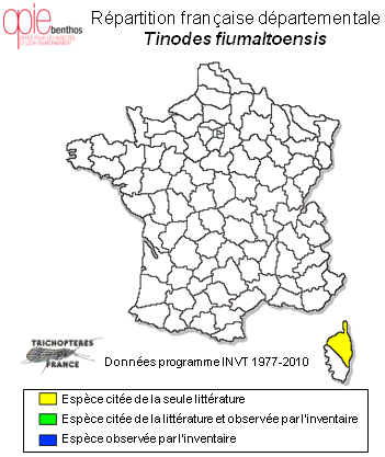 Carte de distribution de Tinodes fiumaltoensis Sipahiler, 1995