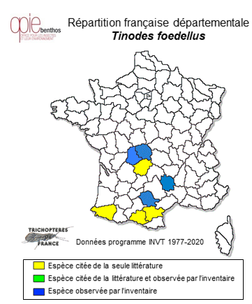 Carte de distribution de Tinodes foedellus MacLachlan, 1884