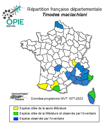 Carte de distribution de Tinodes maclachlani Kimmins, 1966