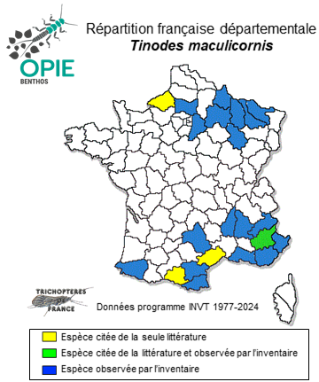 Carte de distribution de Tinodes maculicornis (Pictet, 1834)