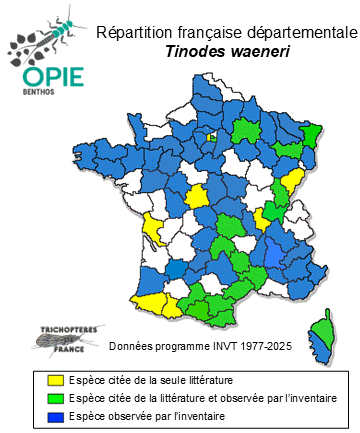 Carte de distribution de Tinodes waeneri (Linnæus, 1758)