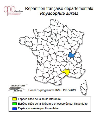 Carte de distribution de Rhyacophila aurata Brauer, 1857