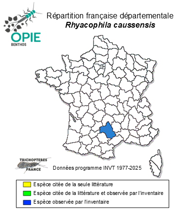 Carte de distribution de Rhyacophila caussensis Valladolid & Coppa, 2025