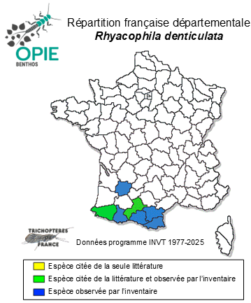 Carte de distribution de Rhyacophila denticulata MacLachlan, 1879