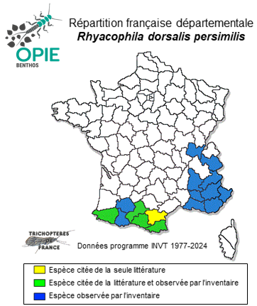 Carte de distribution de Rhyacophila dorsalis persimilis MacLachlan, 1879