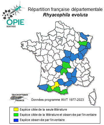 Carte de distribution de Rhyacophila evoluta MacLachlan, 1879