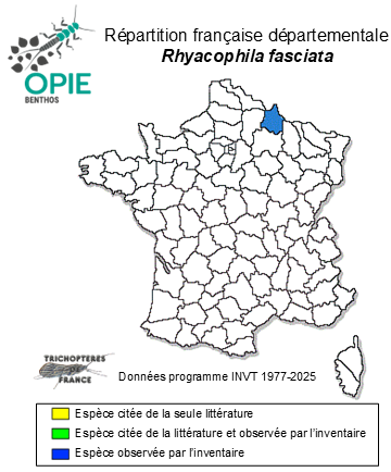 Carte de distribution de Rhyacophila fasciata Hagen, 1859