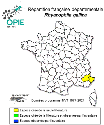 Carte de distribution de Rhyacophila gallica Leraut, 2024