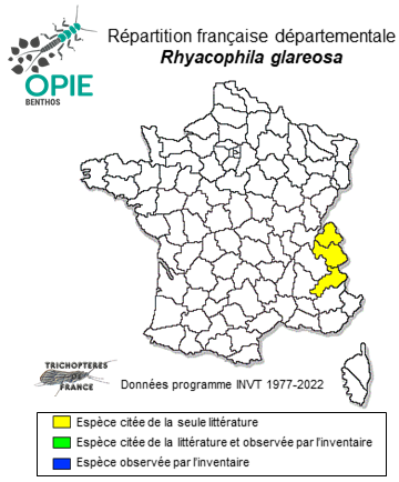 Carte de distribution de Rhyacophila glareosa MacLachlan, 1867