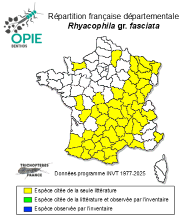 Carte de distribution de Rhyacophila gr. fasciata Hagen, 1859