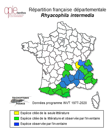 Carte de distribution de Rhyacophila intermedia MacLachlan, 1868