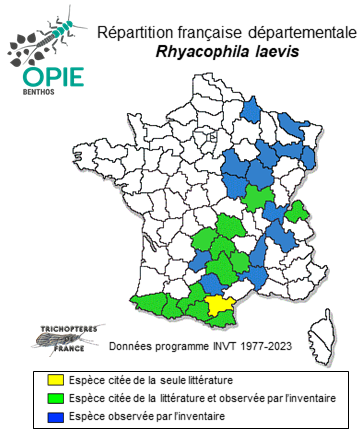 Carte de distribution de Rhyacophila laevis Pictet, 1834