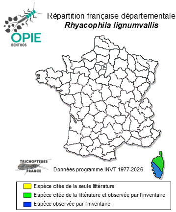 Carte de distribution de Rhyacophila lignumvallis, Graf & Ráduri-Gonzales, 2024