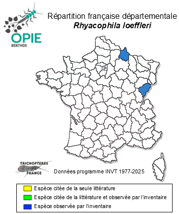Carte de distribution de Rhyacophila loeffleri Valladolid & Waringer, 2023