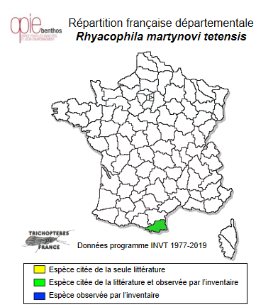 Carte de distribution de Rhyacophila martynovi tetensis Sipahiler, 1993