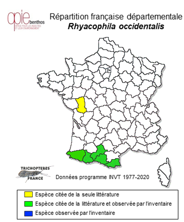 Carte de distribution de Rhyacophila occidentalis MacLachlan, 1879