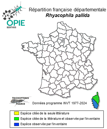 Carte de distribution de Rhyacophila pallida Mosely, 1930