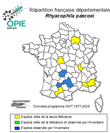 Carte de distribution de Rhyacophila pascoei MacLachlan, 1879