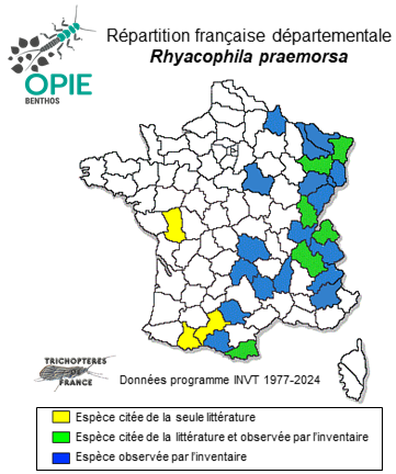 Carte de distribution de Rhyacophila praemorsa MacLachlan, 1879