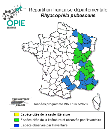 Carte de distribution de Rhyacophila pubescens Pictet, 1834