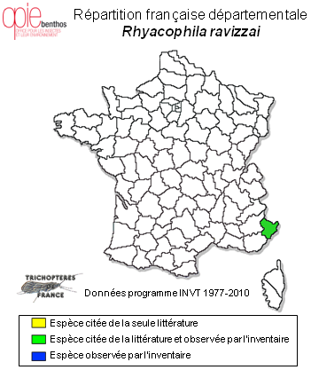 Carte de distribution de Rhyacophila ravizzai Moretti, 1991