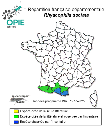 Carte de distribution de Rhyacophila sociata Navás, 1916