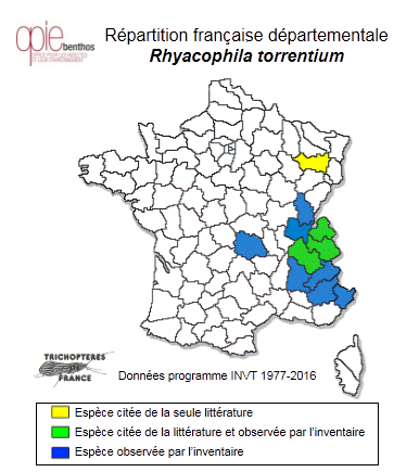 Carte de distribution de Rhyacophila torrentium Pictet, 1834