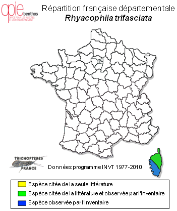 Carte de distribution de Rhyacophila trifasciata Mosely, 1930