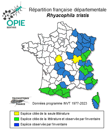 Carte de distribution de Rhyacophila tristis Pictet, 1834