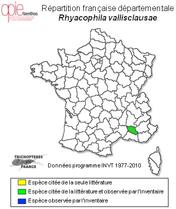 Carte de distribution de Rhyacophila vallisclausae Giudicelli & Botosaneanu, 1999