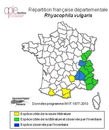 Carte de distribution de Rhyacophila vulgaris Pictet, 1834