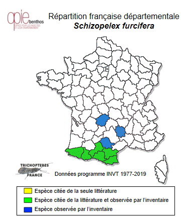 Carte de distribution de Schizopelex furcifera MacLachlan, 1880