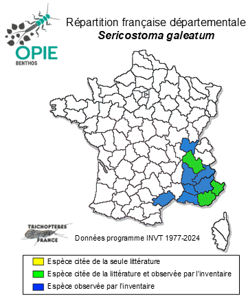 Carte de distribution de Sericostoma galeatum Rambur, 1842