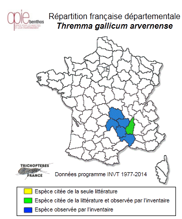 Carte de distribution de Thremma gallicum arvernense Giudicelli, 1971